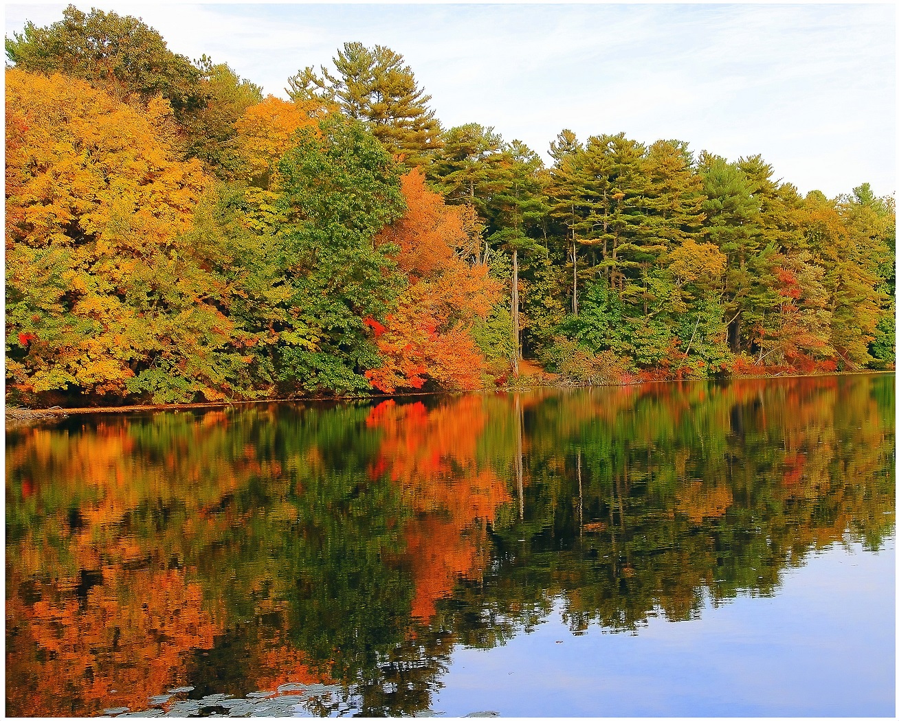 Asigned Subject In Class A By Arthur Meole For Reflection Of Fall SEP-2022.jpg